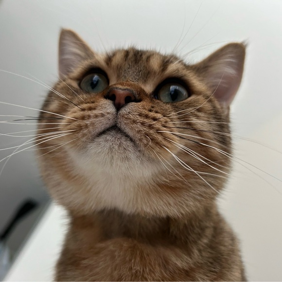 catwalkstudio